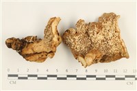 登錄號:F0037687藏品圖，第3張