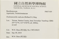 館號:F0037689藏品圖，第2張