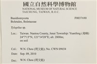 登錄號:F0037690藏品圖，第2張