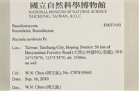 登錄號:F0037693藏品圖，第2張