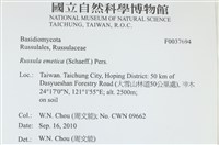 登錄號:F0037694藏品圖，第2張