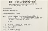 館號:F0037695藏品圖，第2張