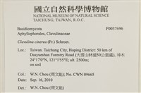 登錄號:F0037696藏品圖，第2張