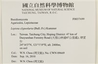 登錄號:F0037699藏品圖，第2張