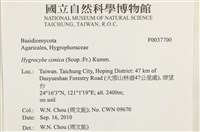 登錄號:F0037700藏品圖，第2張