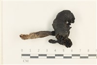 登錄號:F0037700藏品圖，第1張