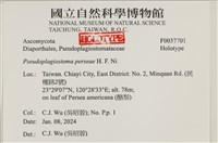 登錄號:F0037701藏品圖，第3張