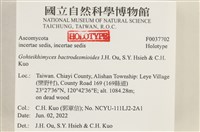登錄號:F0037702藏品圖，第2張