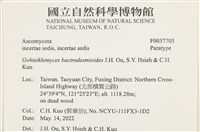 登錄號:F0037703藏品圖，第2張