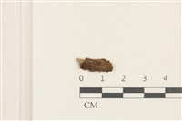 登錄號:F0037704藏品圖，第1張
