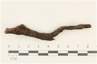 登錄號:F0037705藏品圖，第1張