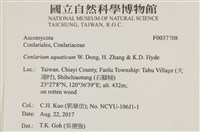 登錄號:F0037708藏品圖，第2張