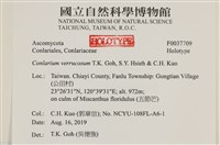 登錄號:F0037709藏品圖，第2張