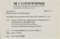登錄號:F0037710藏品圖，第2張