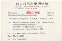 登錄號:F0037712藏品圖，第2張