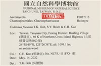 登錄號:F0037713藏品圖，第2張