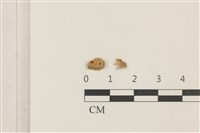 登錄號:F0037714藏品圖，第1張