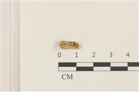 登錄號:F0037715藏品圖，第1張