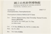 登錄號:F0037717藏品圖，第2張