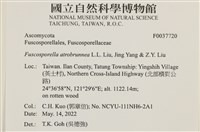 登錄號:F0037720藏品圖，第2張