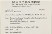 登錄號:F0037721藏品圖，第2張