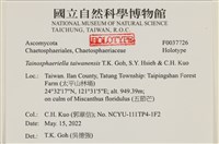 登錄號:F0037726藏品圖，第2張