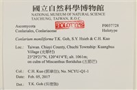 登錄號:F0037728藏品圖，第2張