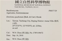 登錄號:F0037729藏品圖，第2張