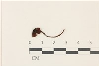 登錄號:F0037729藏品圖，第1張