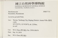 登錄號:F0037731藏品圖，第2張