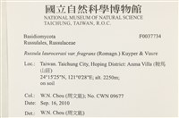 登錄號:F0037734藏品圖，第2張