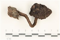 登錄號:F0037735藏品圖，第1張