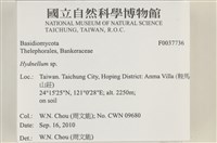 登錄號:F0037736藏品圖，第2張