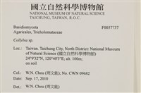 登錄號:F0037737藏品圖，第2張