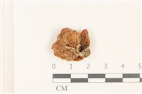 登錄號:F0037737藏品圖，第3張
