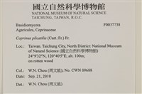 登錄號:F0037738藏品圖，第2張