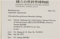 登錄號:F0037742藏品圖，第2張