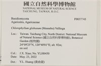 登錄號:F0037743藏品圖，第2張