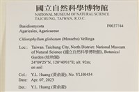 登錄號:F0037744藏品圖，第2張