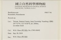 紅菇屬藏品圖，第2張