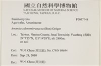 登錄號:F0037748藏品圖，第2張