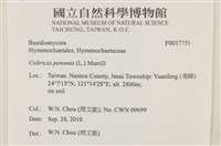 登錄號:F0037751藏品圖，第2張