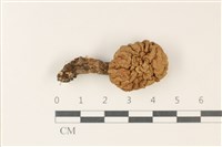 登錄號:F0037752藏品圖，第1張