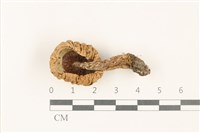 登錄號:F0037752藏品圖，第3張