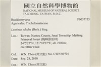 登錄號:F0037753藏品圖，第2張