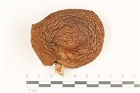 登錄號:F0037753藏品圖，第1張