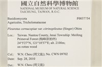 登錄號:F0037754藏品圖，第2張
