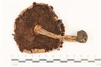 登錄號:F0037755藏品圖，第3張