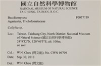 登錄號:F0037759藏品圖，第2張