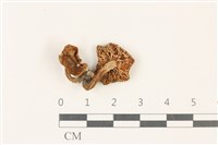 登錄號:F0037759藏品圖，第3張